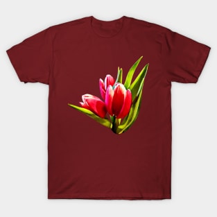 Group of Red Tulips T-Shirt